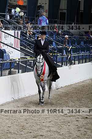 Proof Number 10r14_3434