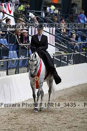 Proof Number 10r14_3435