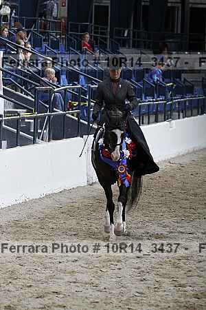 Proof Number 10r14_3437