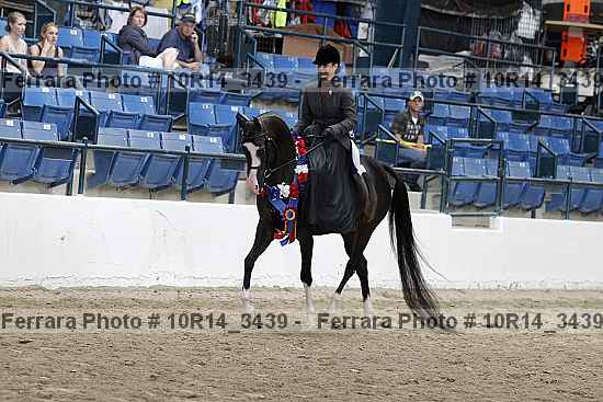 Proof Number 10r14_3439