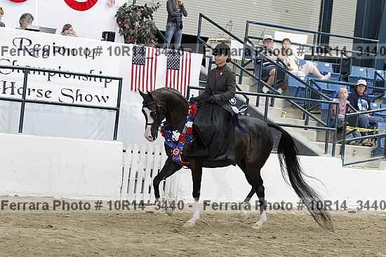 Proof Number 10r14_3440