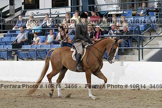 Proof Number 10r14_3466