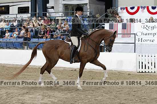 Proof Number 10r14_3468