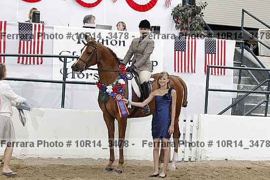 Proof Number 10r14_3478