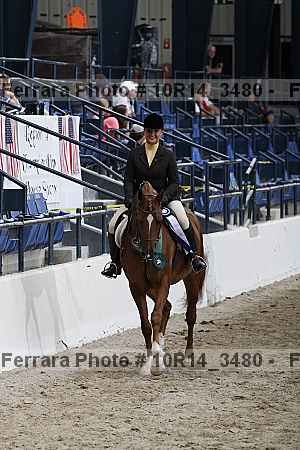 Proof Number 10r14_3480