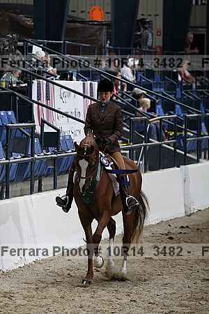 Proof Number 10r14_3482