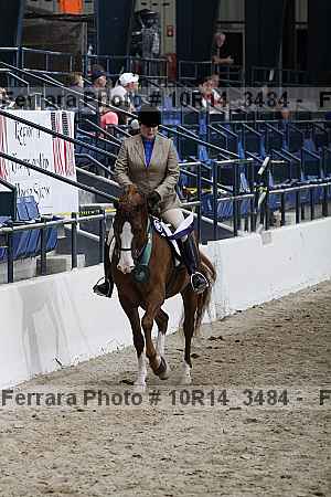 Proof Number 10r14_3484