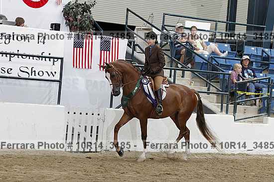Proof Number 10r14_3485