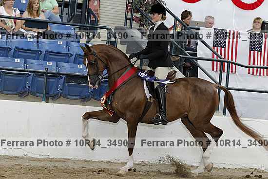 Proof Number 10r14_3490