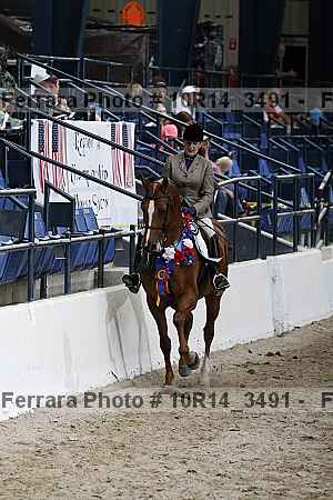 Proof Number 10r14_3491
