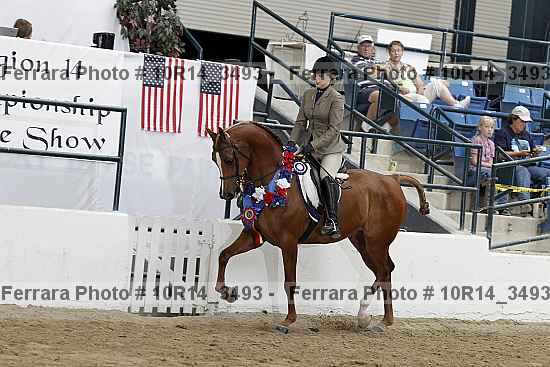 Proof Number 10r14_3493