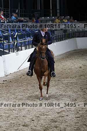 Proof Number 10r14_3495
