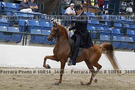 Proof Number 10r14_3496