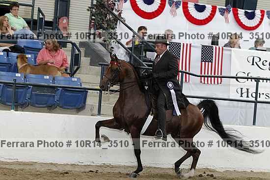 Proof Number 10r14_3510