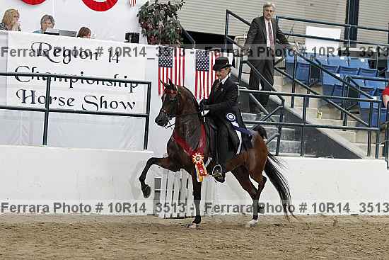 Proof Number 10r14_3513