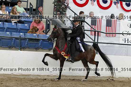 Proof Number 10r14_3514