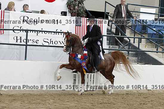 Proof Number 10r14_3516