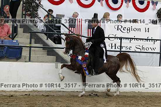 Proof Number 10r14_3517