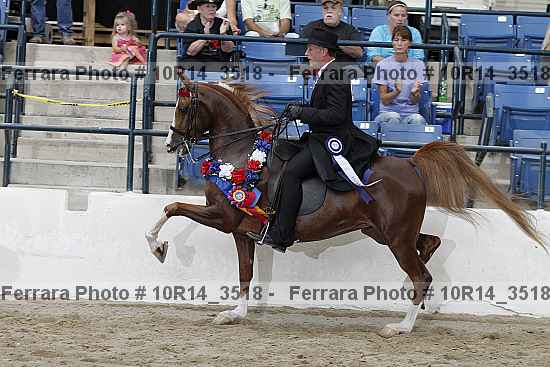 Proof Number 10r14_3518
