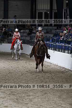 Proof Number 10r14_3556