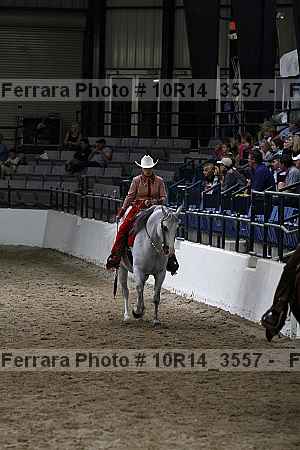 Proof Number 10r14_3557