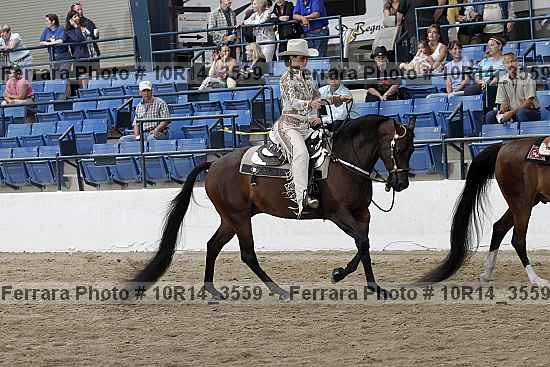 Proof Number 10r14_3559