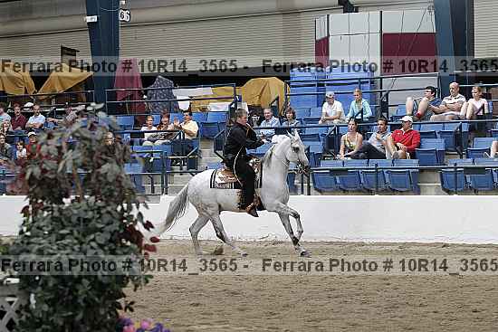 Proof Number 10r14_3565