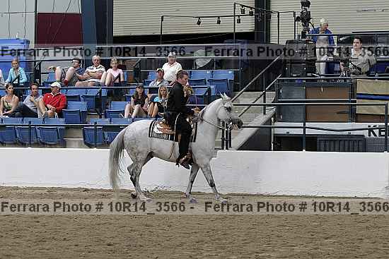 Proof Number 10r14_3566