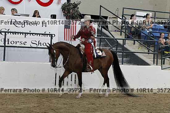 Proof Number 10r14_3572