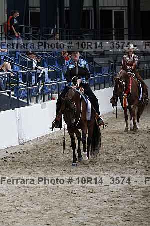 Proof Number 10r14_3574