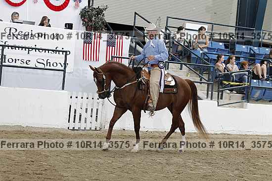 Proof Number 10r14_3575