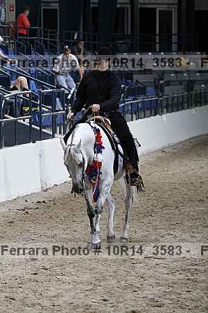 Proof Number 10r14_3583