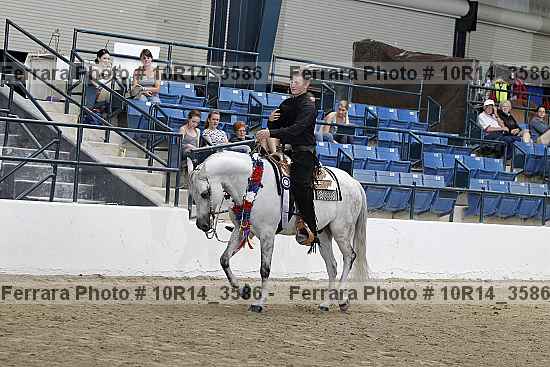 Proof Number 10r14_3586