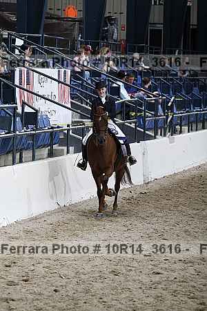 Proof Number 10r14_3616
