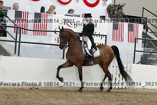 Proof Number 10r14_3621