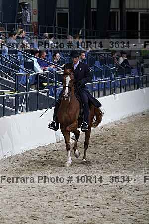 Proof Number 10r14_3634