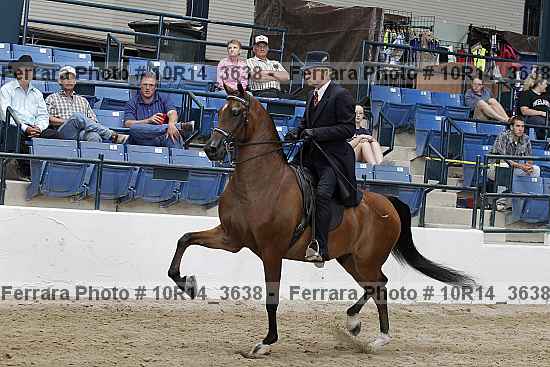 Proof Number 10r14_3638