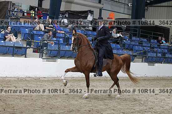 Proof Number 10r14_3642