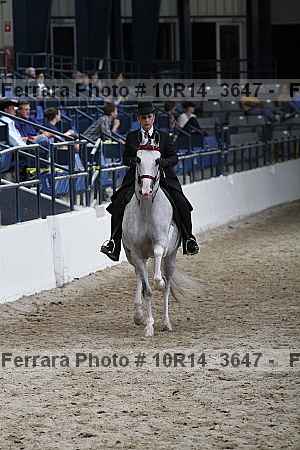 Proof Number 10r14_3647