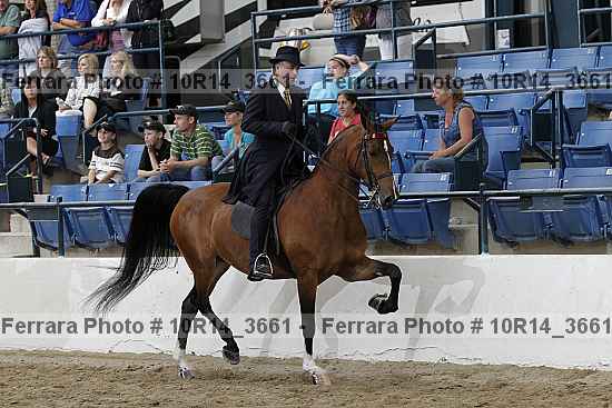 Proof Number 10r14_3661