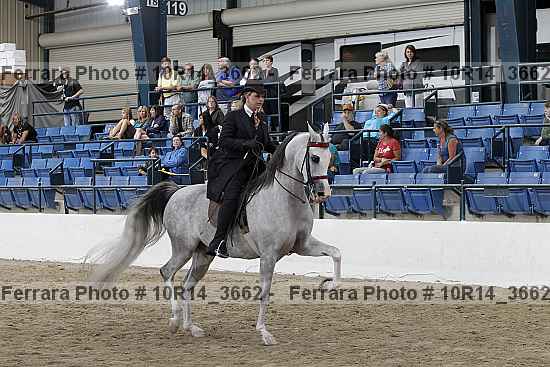 Proof Number 10r14_3662