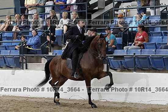 Proof Number 10r14_3664
