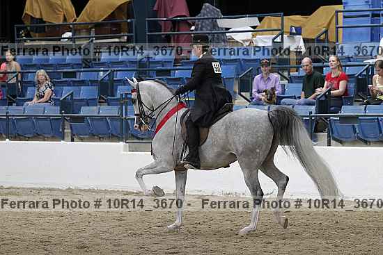 Proof Number 10r14_3670