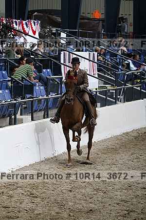 Proof Number 10r14_3672