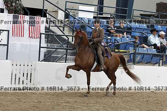 Proof Number 10r14_3673