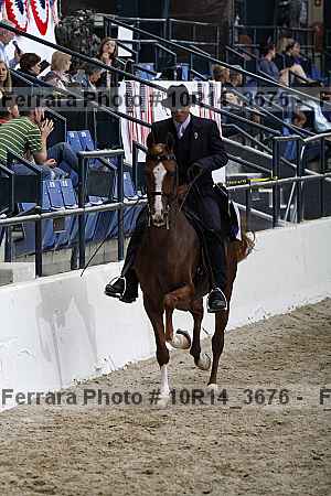 Proof Number 10r14_3676
