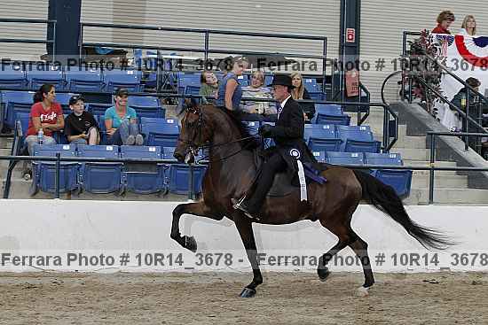 Proof Number 10r14_3678