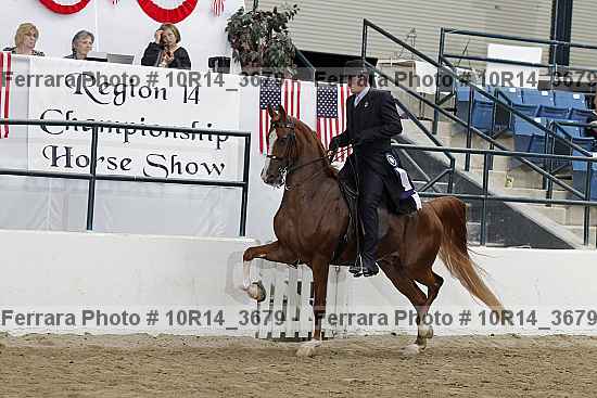 Proof Number 10r14_3679