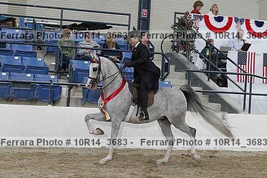 Proof Number 10r14_3683