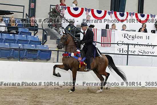 Proof Number 10r14_3685